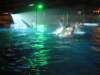 Photo Number 11