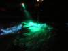 Photo Number 14